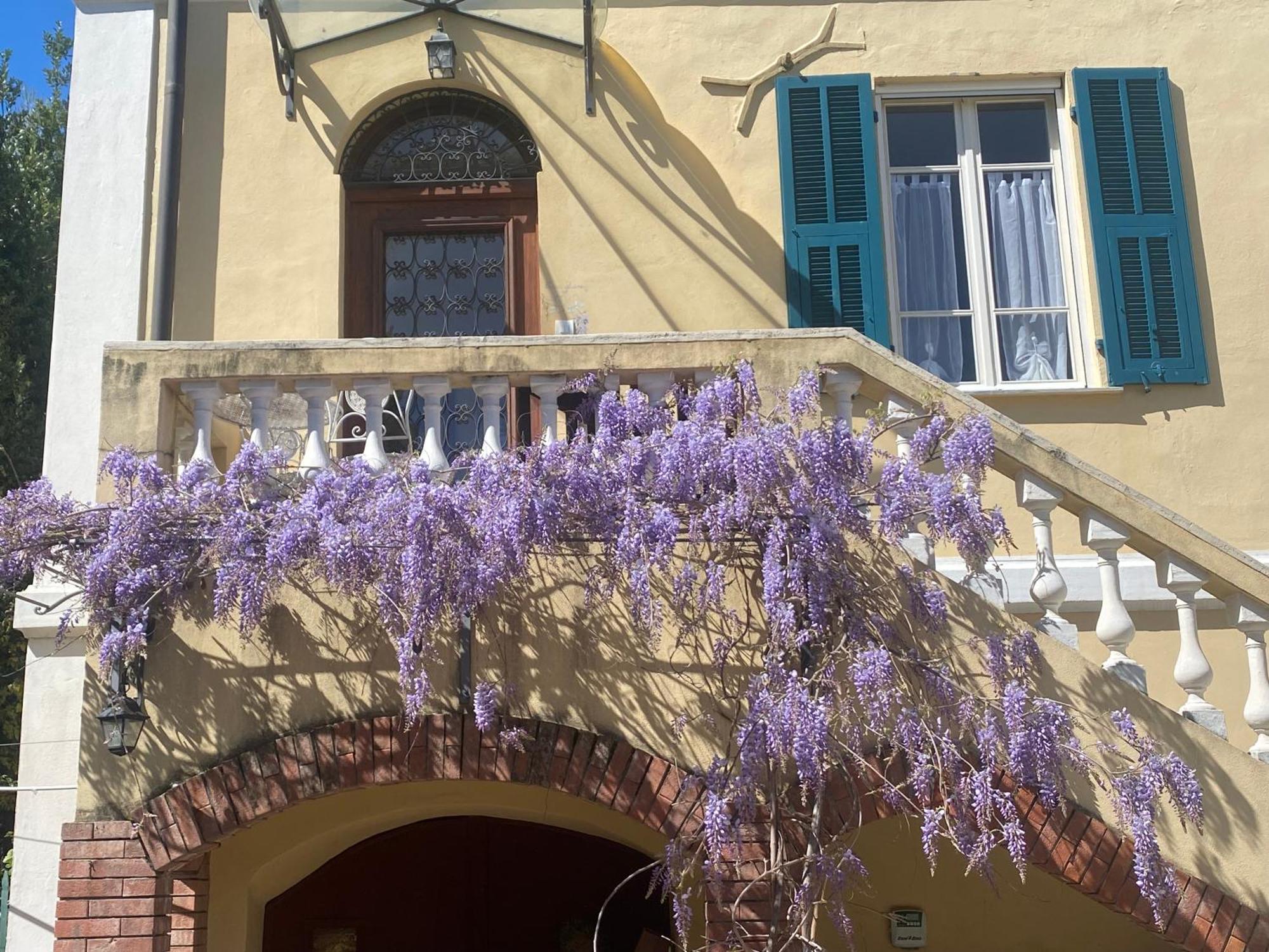 Villa Angelina - Casa Glicine Vallecrosia Exterior foto